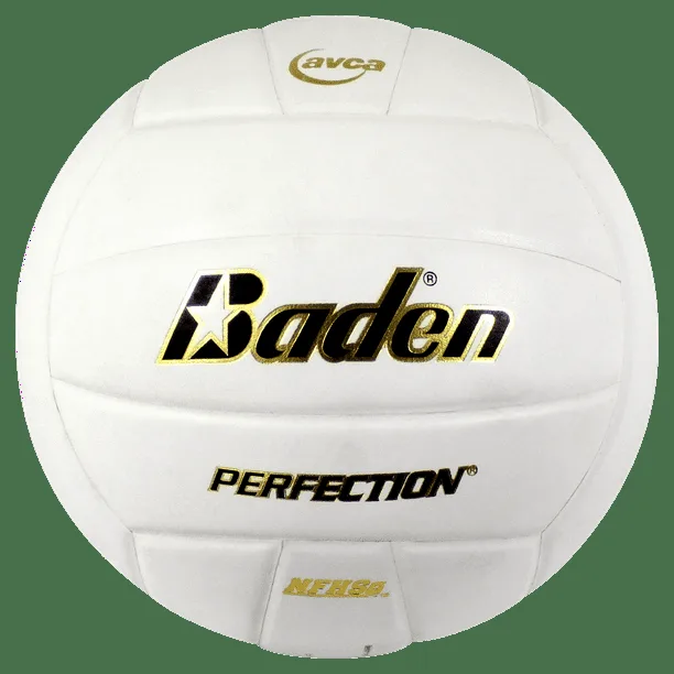 Baden Perfection Leather Volleyball