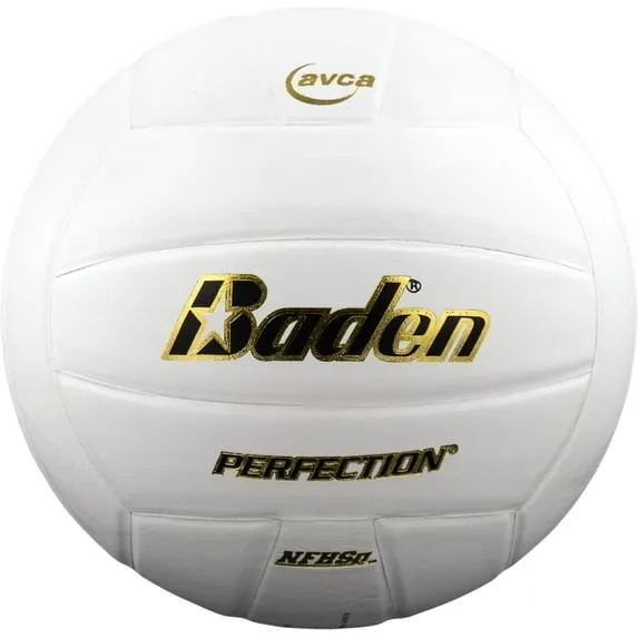 Baden Perfection Leather Volleyball image 3